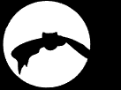 batmoonBgBLK