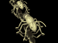 ant3-b